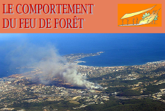 Le comportement au feu