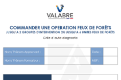 Grille autodiagnostic COS