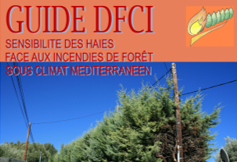 Guide DFCI