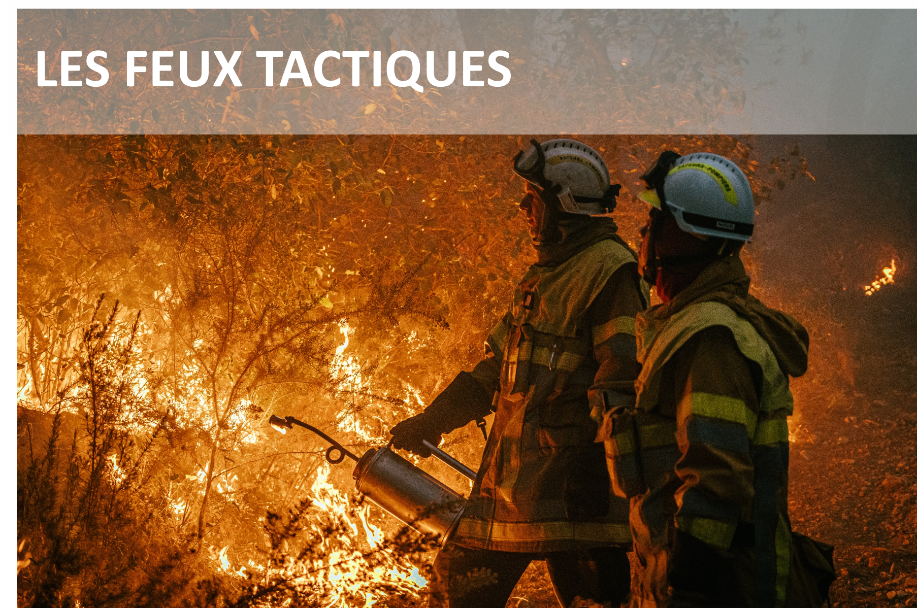 Les feux tactiques
