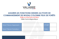 Grille auto-diagnostic Fonction Moyens